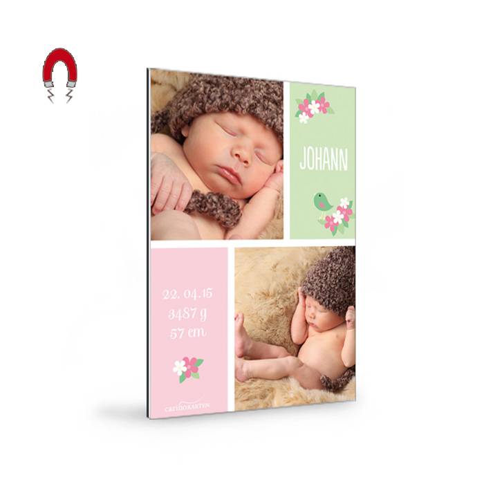 Geburtskarten-Magnet in Pastellfarben und mit Baby-Fotos