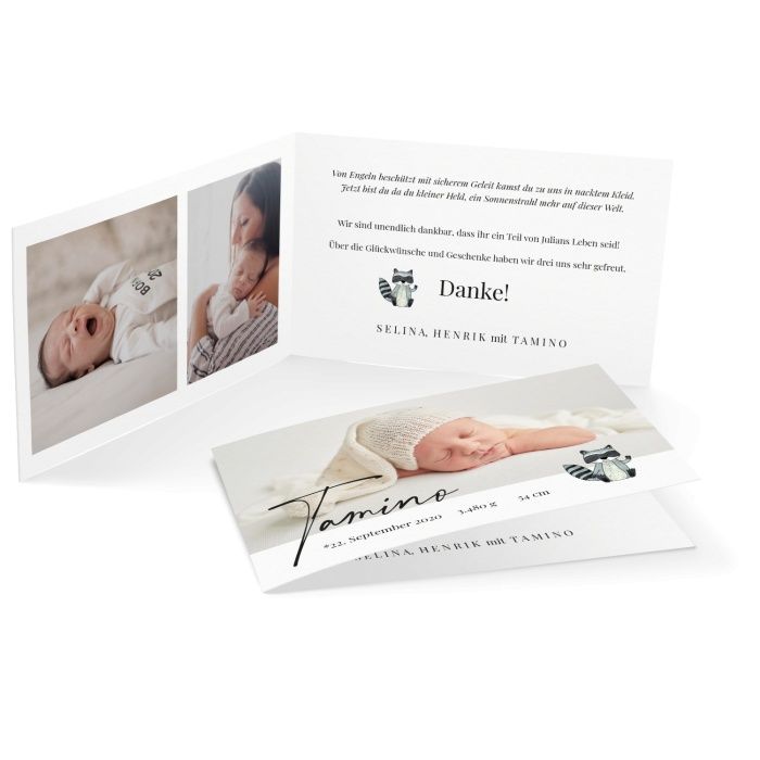 Süße Babykarte mit Waschbären Illustration