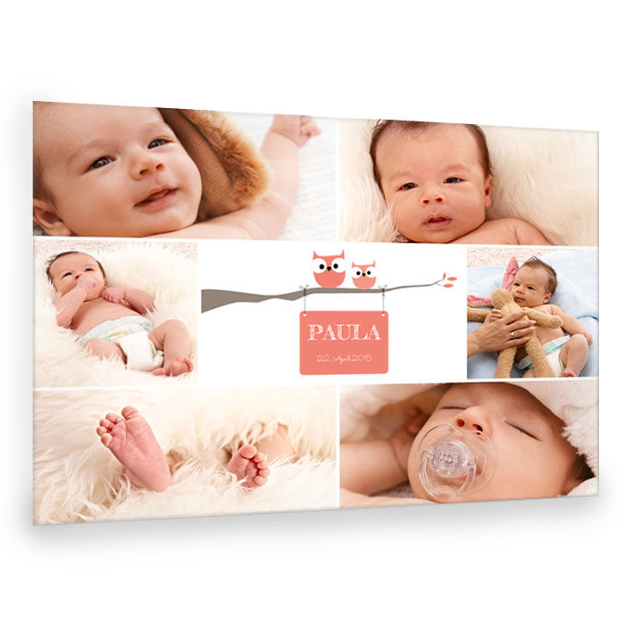 Süße Baby Fotocollage mit Eulen online selbst gestalten