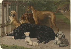 800px-Dogs_Not_Admitted_by_Boston_Public_Library